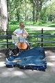 Musician in Central Park