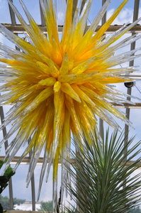 Chahuly Glass at the Phipps