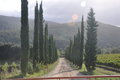A Tuscan Road