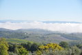 Fog hanging over the Tuscan Valley