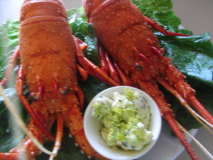 Australian Lobster