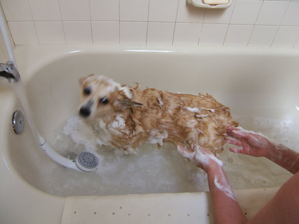 Loved her bath