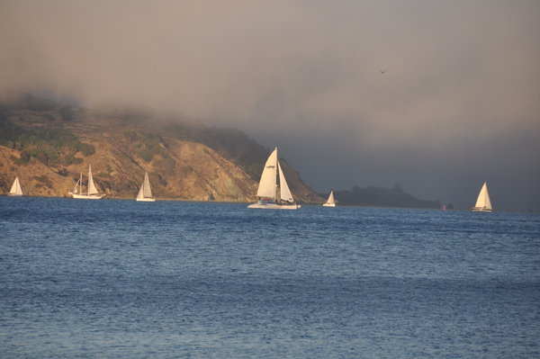 Boats in the Bay