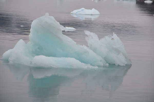 Icebergs a plenty