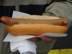 Famous hot dog 