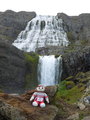Brutus loves waterfalls
