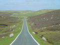 Road through the heather