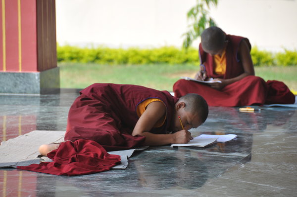 Young Monks Study