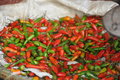 Picking Peppers