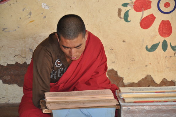 Young monk studies