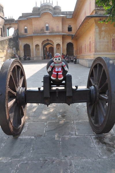 Brutus touring the fort