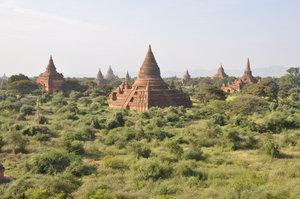 Acres of pagodas