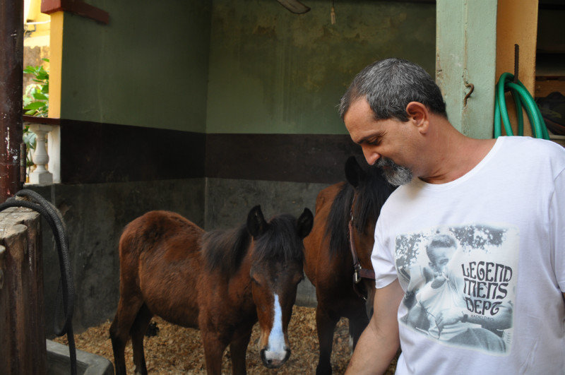 Julio and his horses