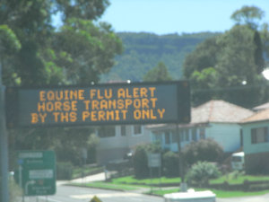 Horse flu