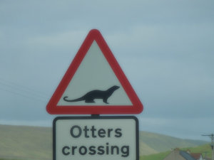 Otterly obvious to most, no?