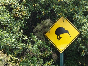 Kiwis crossing...they should keep their heads up to see the traffic.