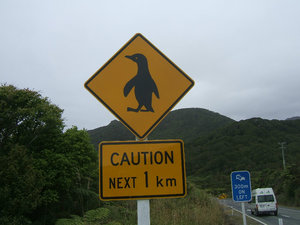 Penguins on the loose.....watch out!!