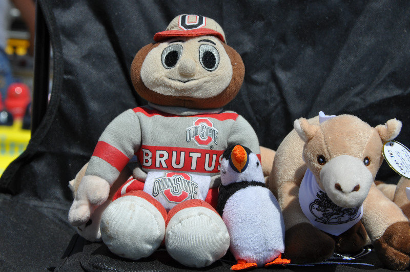 Brutus & Mykines makes friends