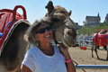 Fun with camels