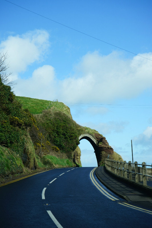 Scenic road & tunnel