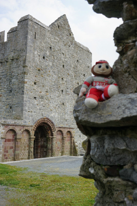 Brutus checking out Clonfert Cathedral