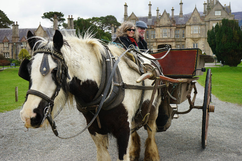 MJ and Dave in the jaunting car