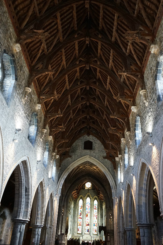 Ceiling at St. Canice Cathedral