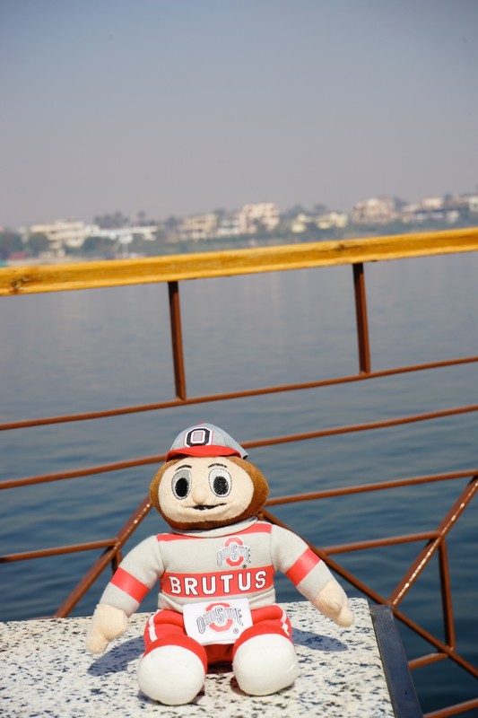 Brutus on the Nile