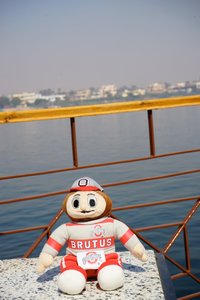 Brutus on the Nile