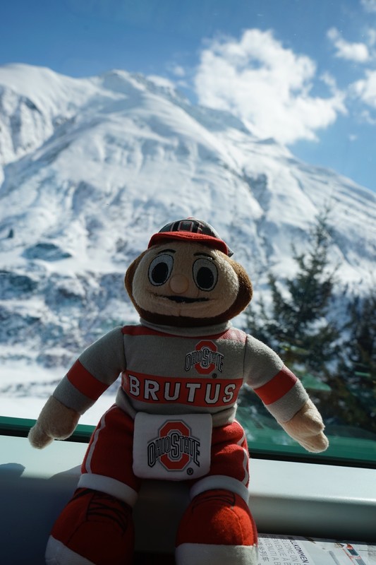 Brutus on the Train