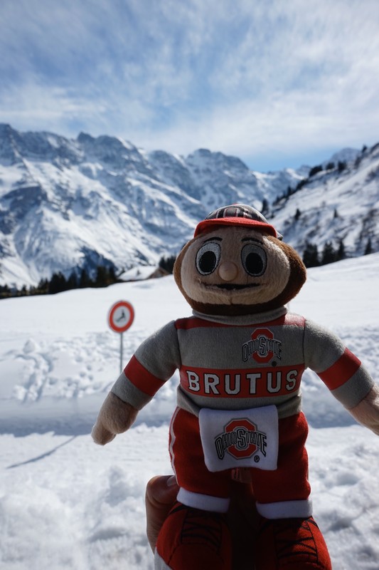 Brutus in the mountains