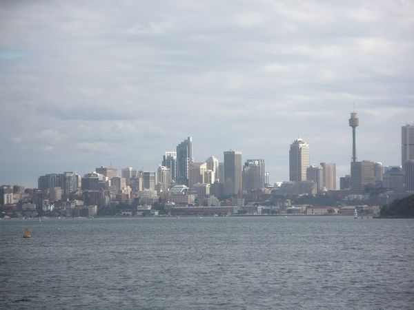 Sydney from the harbour