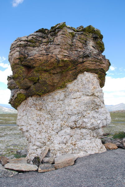 Cool rock in the alpine tundra