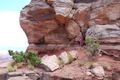 Ethan and Elise climbing at Canyonlands