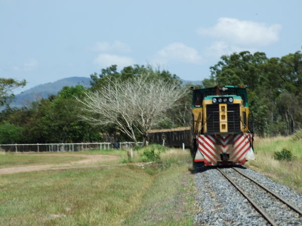 Sugar Cane Trains