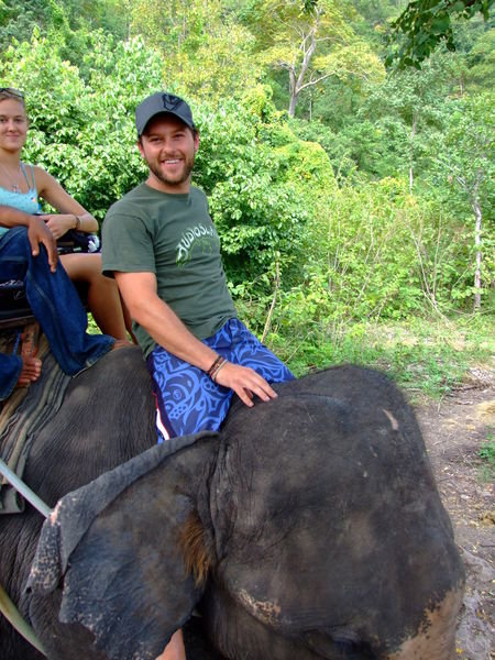 Fun day on an elephants head!