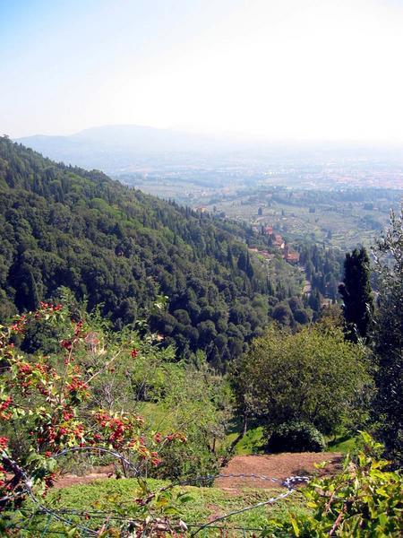 Hills around Firenze-looking out from Fiesole