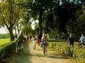 The park where I run-Parco della Cascine