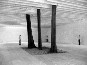 The Norwegian, Swedish Pavilion-an ethereal hall of echoes and three beautiful tree trunks.