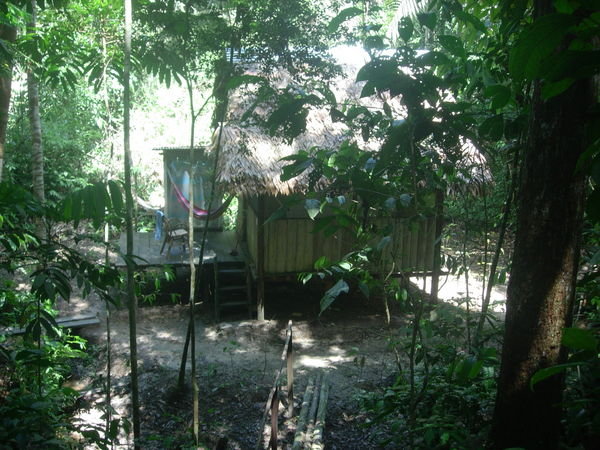 Ma hutte à Sachamama (en faite c'est un tembo)