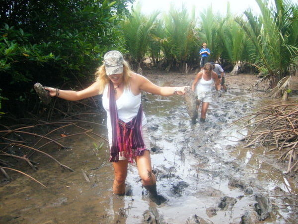 treking through the mangroves