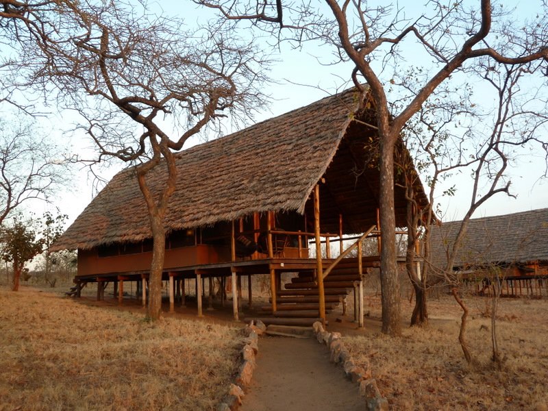 Kikuti Lodge "tent"
