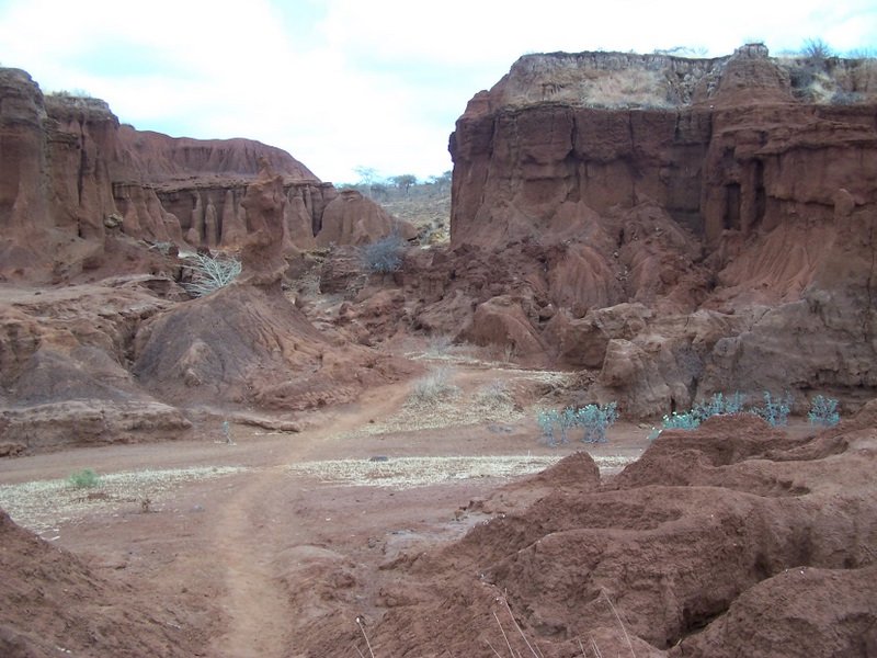 Canyons used for protection