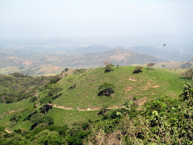 View from below Monteverde