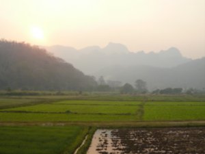 rice paddies, mountains