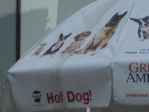 Hot Dog stand