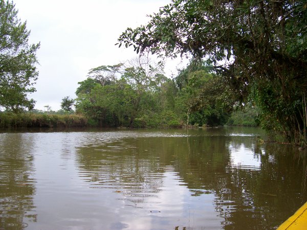 River in Panama