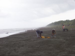 Beach clean