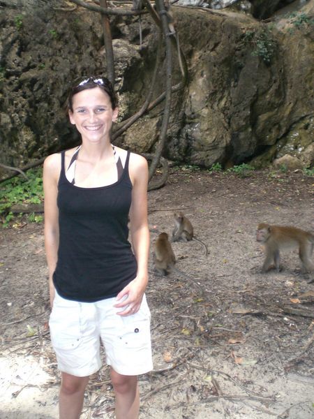 Look at that cheeky Monkey.......and all the monkeys in the background!