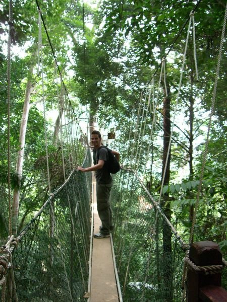 The longest canopy walkway in the world.